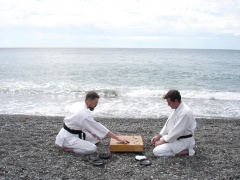 "Как будем проверять?" - осведомился Мастер Го.