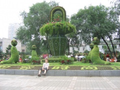 Клумба с моржами