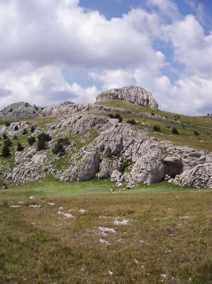 Klikni za sliku u punoj veliini