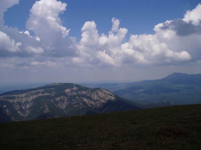 Klikni za ogled veje slike