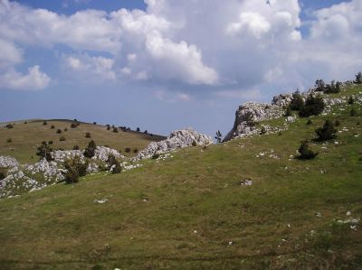 Klikni za sliku u punoj veliini