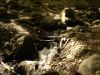 Hцjjet nami : 1 117.jpg
Hцjjet hejimi : 135KB
Keng_tarliqi : 512x384
Ay_kьn qoshush : Sйntebir 20, 2005 1 117.jpg