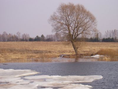 Klikkaa nhdksesi kuvan oikeassa koossa