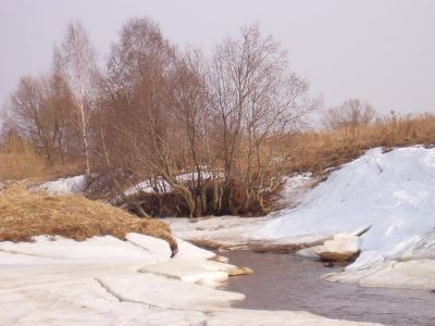 Klikni za ogled veje slike