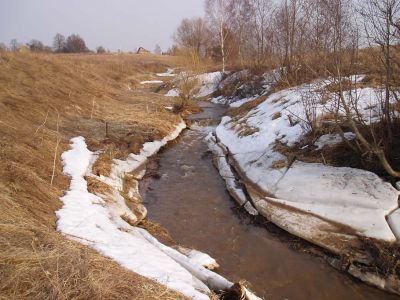 Klikka vaatamaks tissuuruses pilti