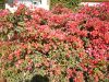 ناوی پهڕگه : P1030836.jpg
قهبارهی : 183کیلۆ بایت
ڕووخسار : 347x261
خستنهسهر كرا له ڕێكهوتی : ڕێبهندان 23, 2006 P1030836.jpg
