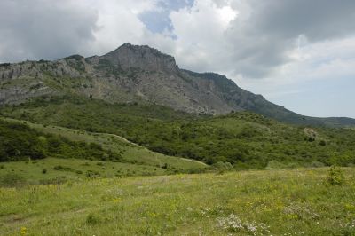 Kliknij aby zobaczy peny rozmiar