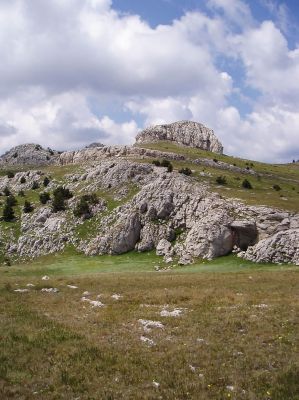 Apsai pentru a vedea imaginea la dimensiuni originale
