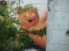 ҐХҐЎҐ¤ҐлМѕ : IMG_0429.JPG
ҐХҐЎҐ¤ҐлҐµҐ¤Ґє : 363KB
В礤µ : 1152x864
ЕРПїЖь : 2006ЗЇ08·о28Жь IMG_0429.JPG