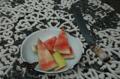 Hemen sakatu irudia tamaina osoan ikusteko