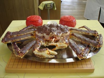 Hemen sakatu irudia tamaina osoan ikusteko