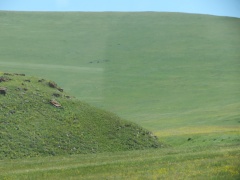 Курганы
